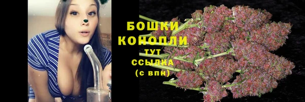 твердый Строитель